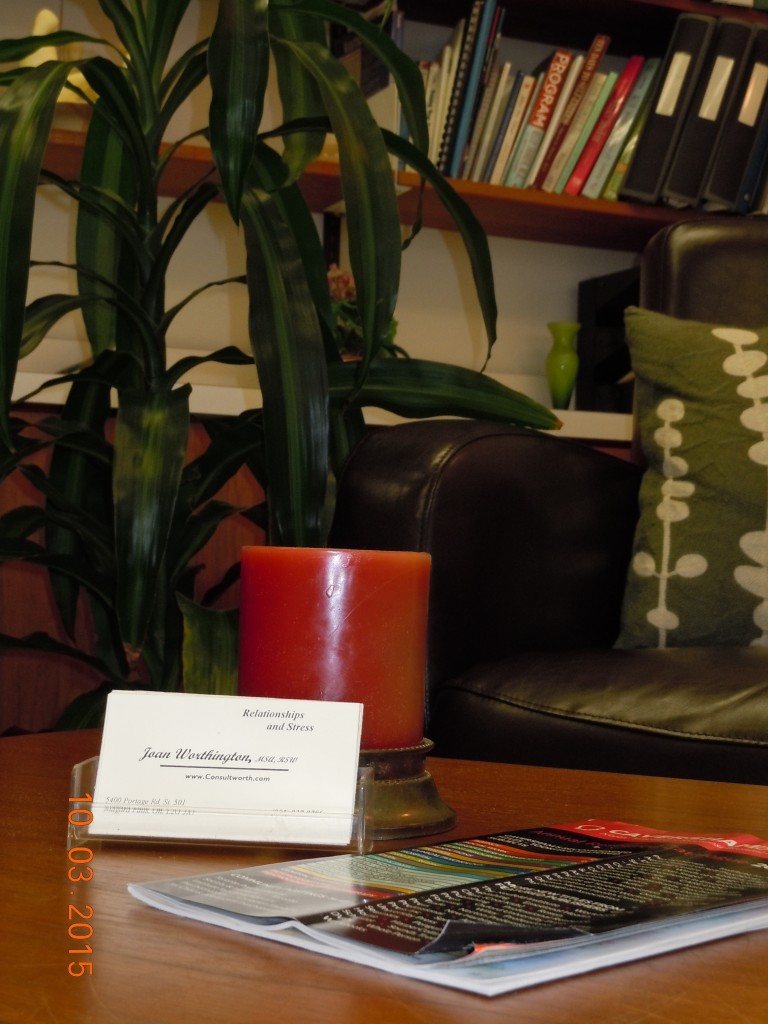 In My Niagara Falls Office Niagara Counselling Service where we work together
